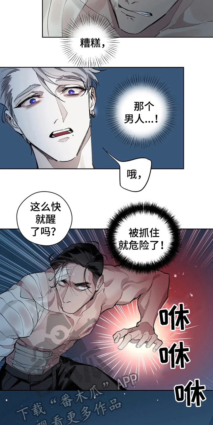 第5章：苏醒13