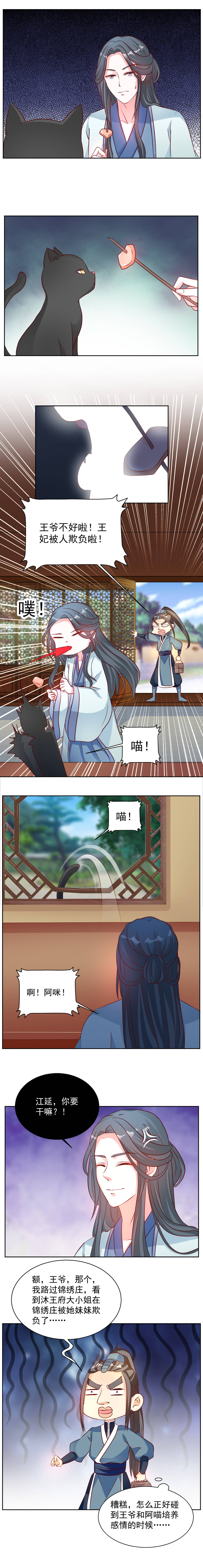 第32章：王妃被人欺负5