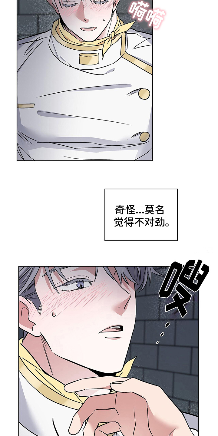 第21章：疑点10