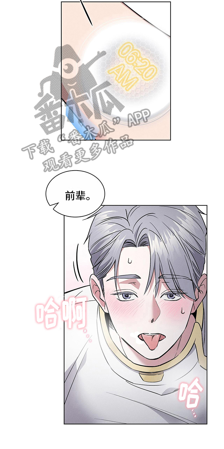 第15章：躲藏10