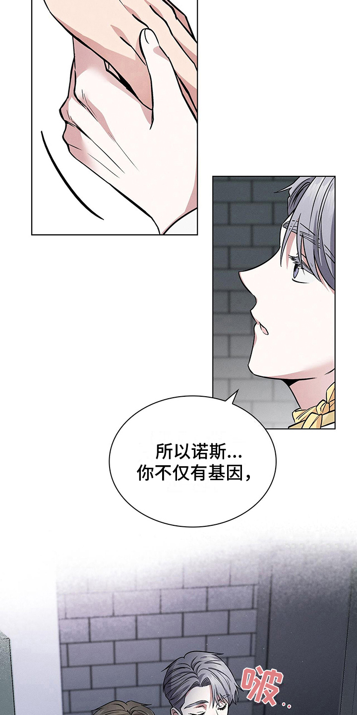 第24章：解释11