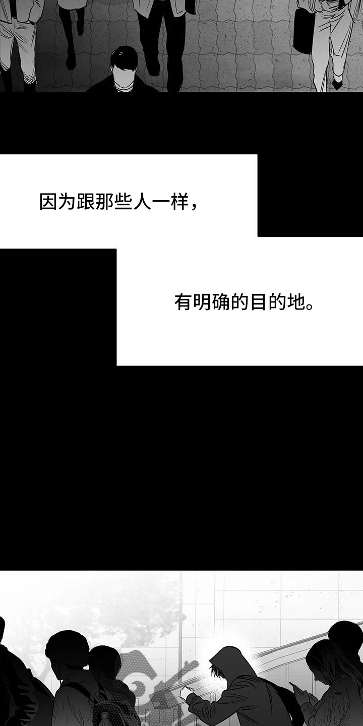 第201章：【第三季】去散步5