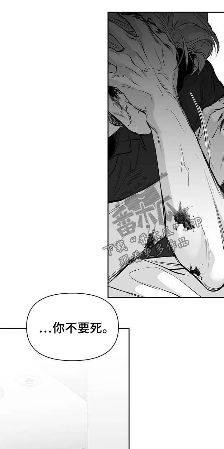 第146章：【第三季】你也要完蛋14