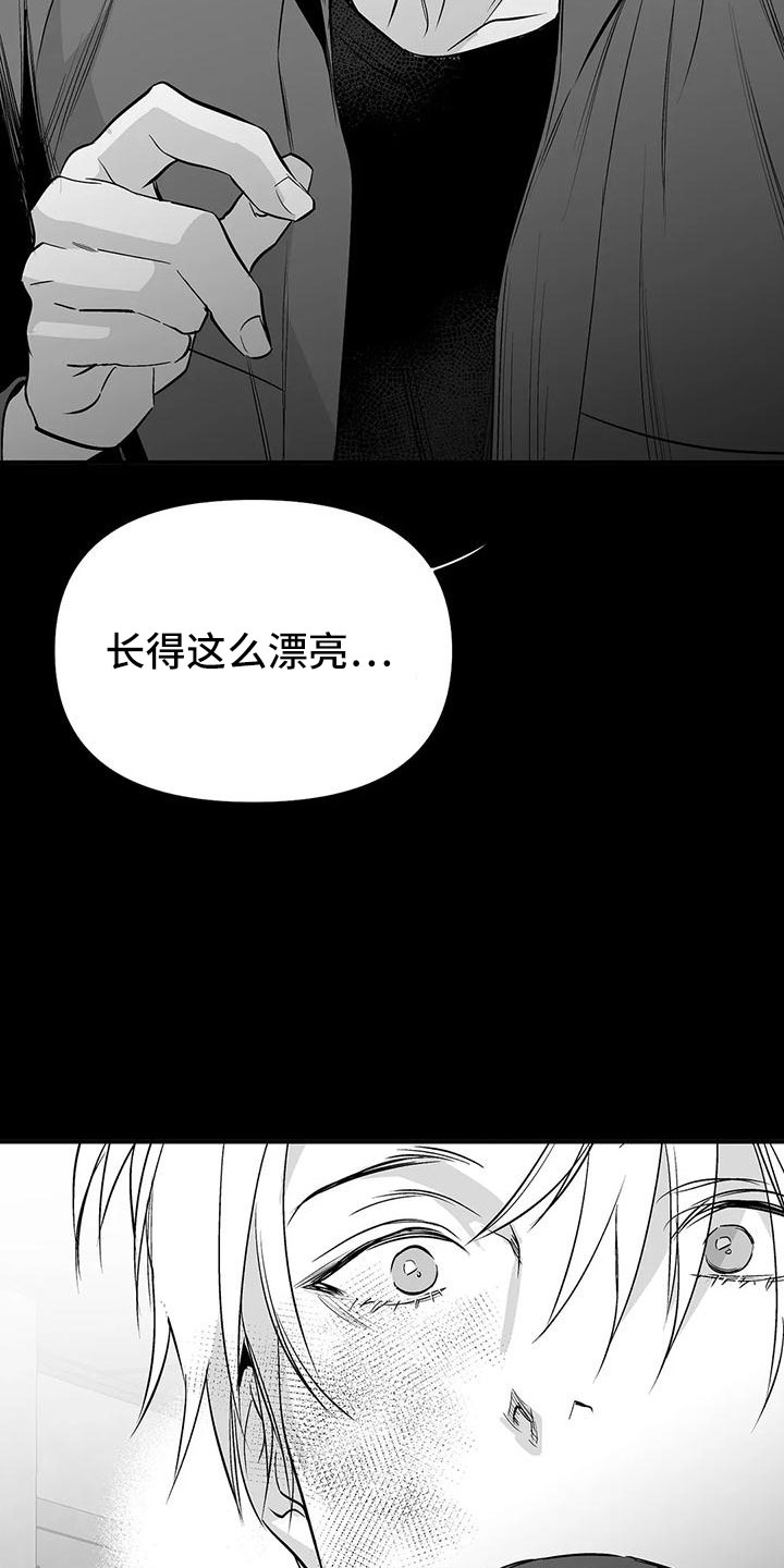 第199章：【第三季】怎么才能喜欢27