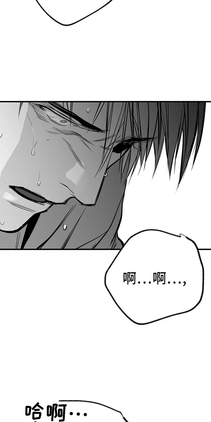 第237章：【第三季】闪耀12