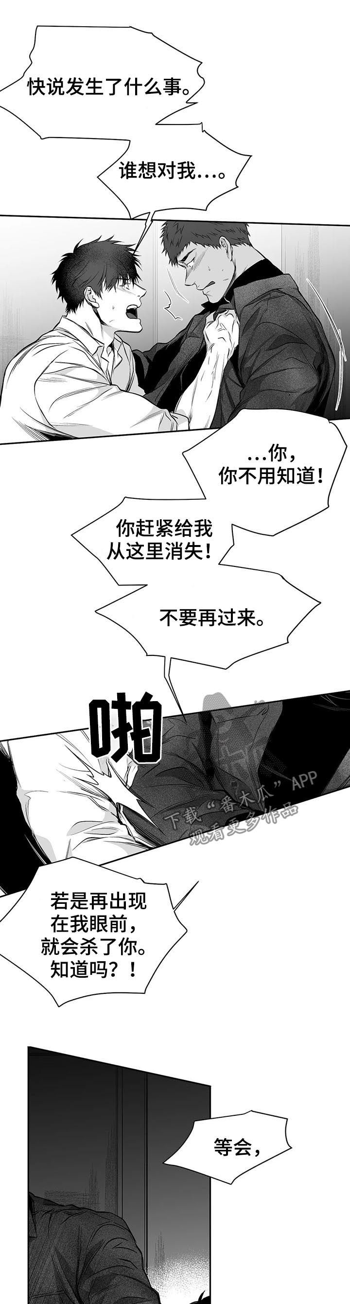 第84章：到底怎么回事12