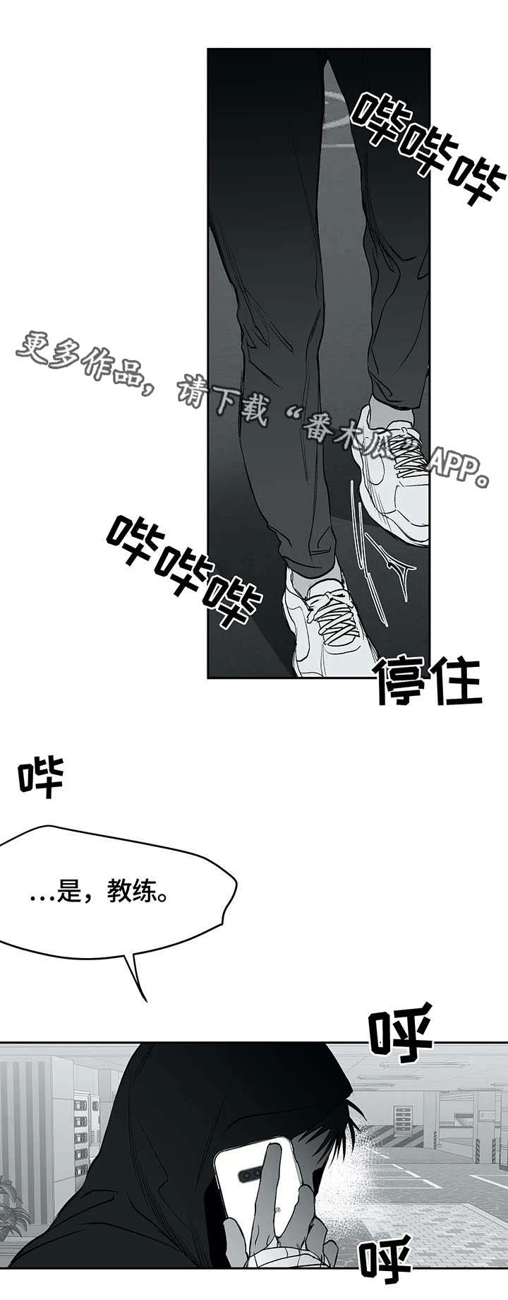 第29章：发泄10