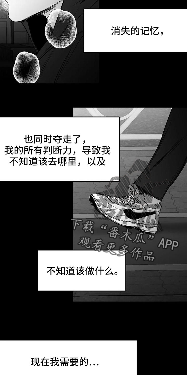 第201章：【第三季】去散步7