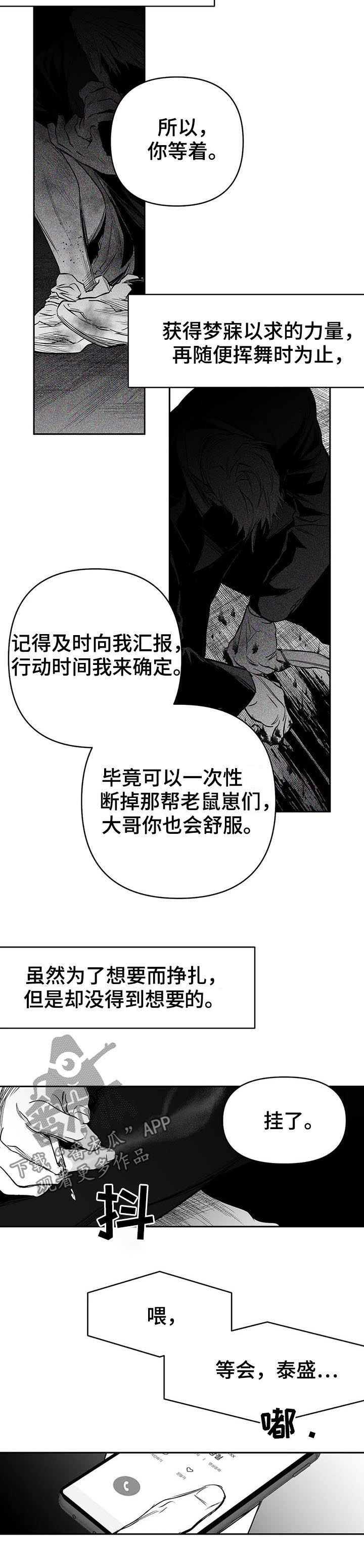第84章：到底怎么回事8
