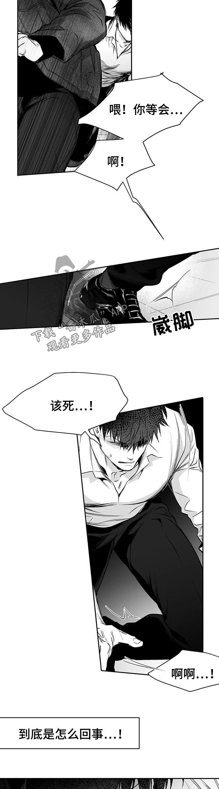 第84章：到底怎么回事13
