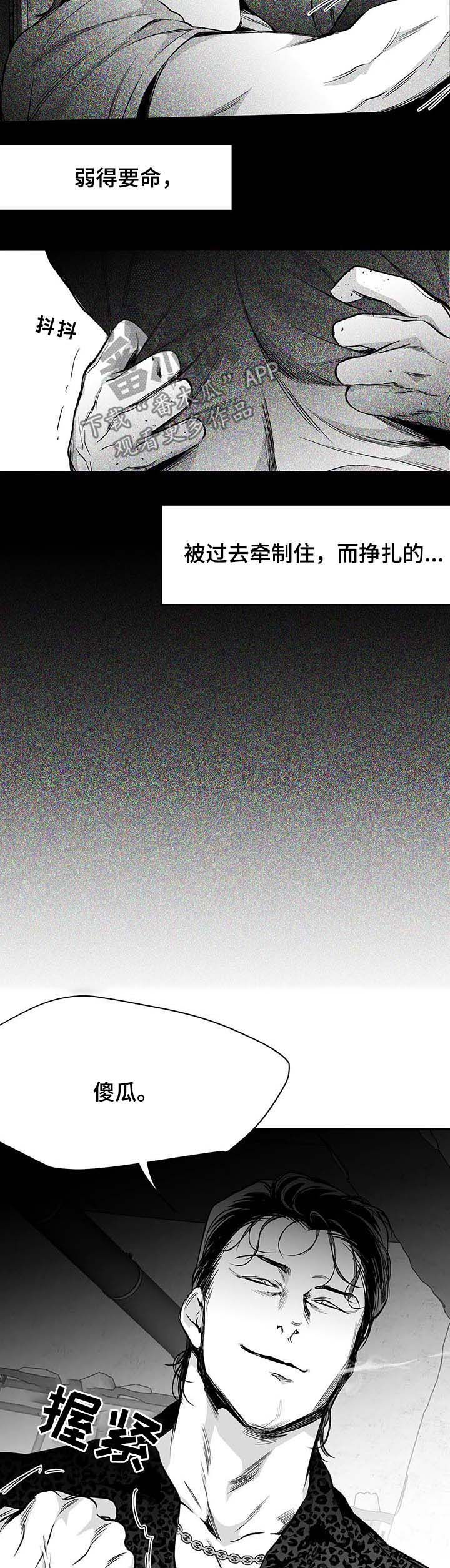 第75章：动向奇怪14