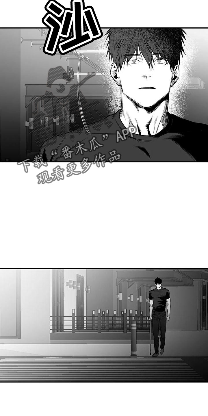 第201章：【第三季】去散步31