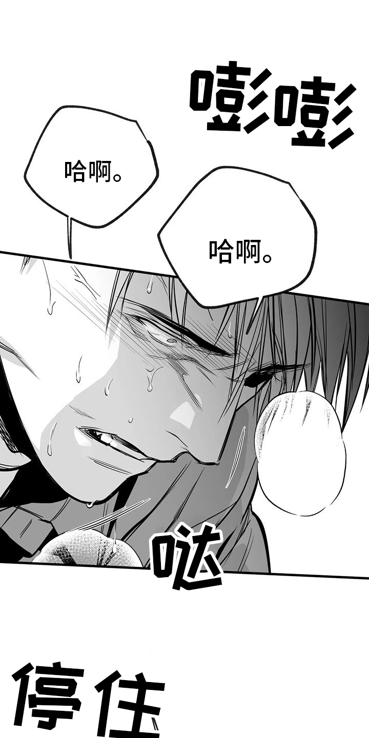 第237章：【第三季】闪耀6