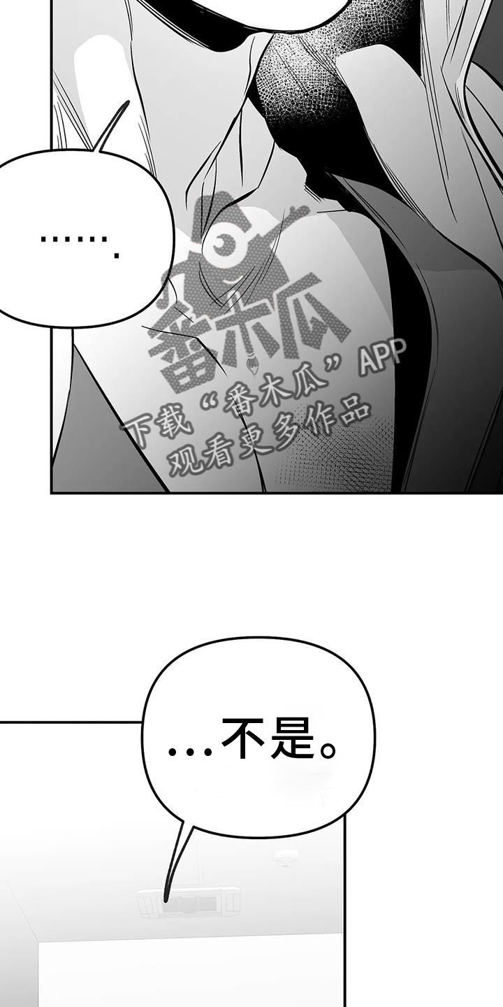 第228章：【第三季】感想11