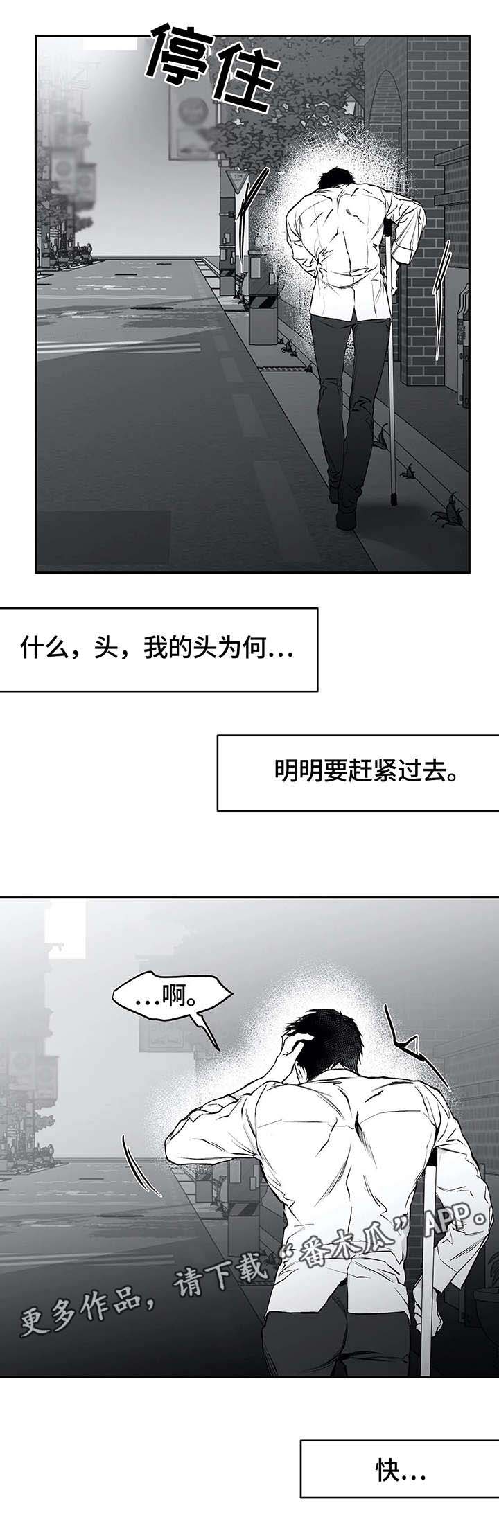 第32章：报复10
