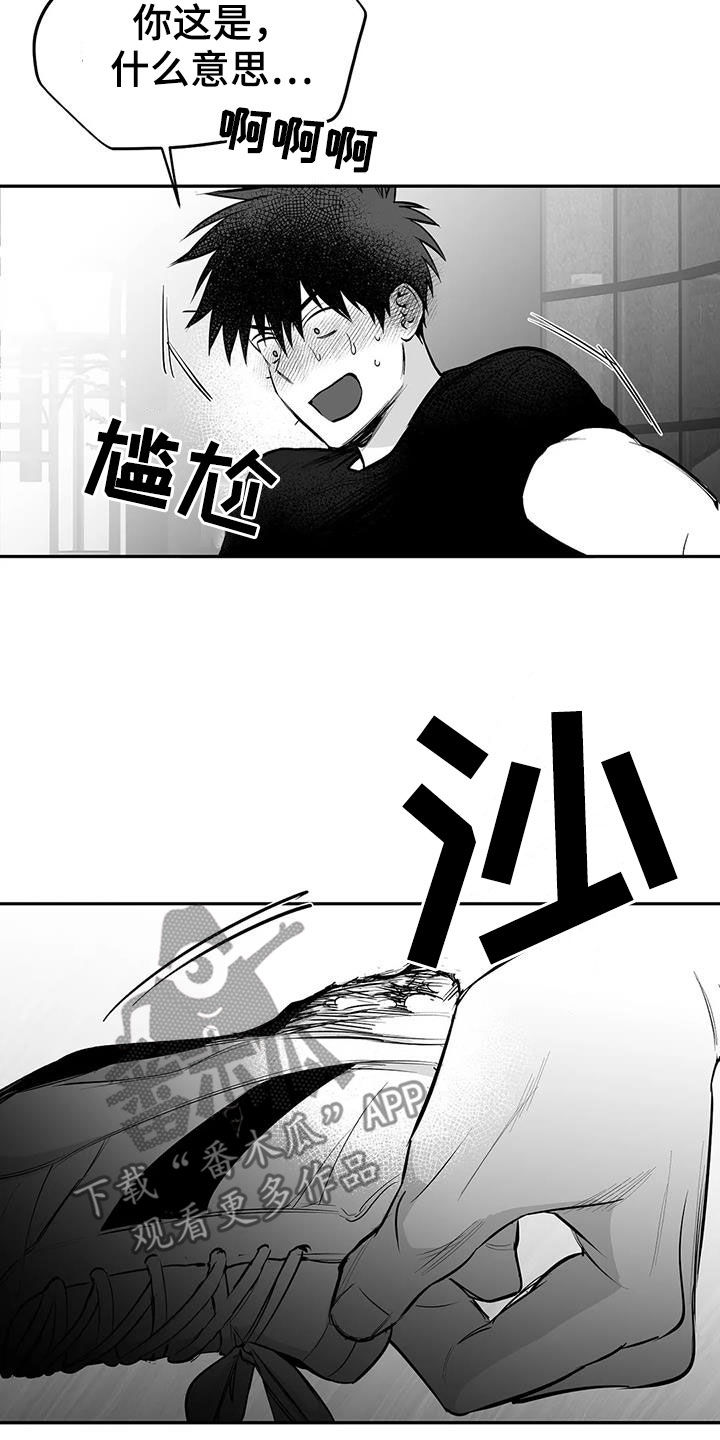 第176章：【第三季】试鞋20