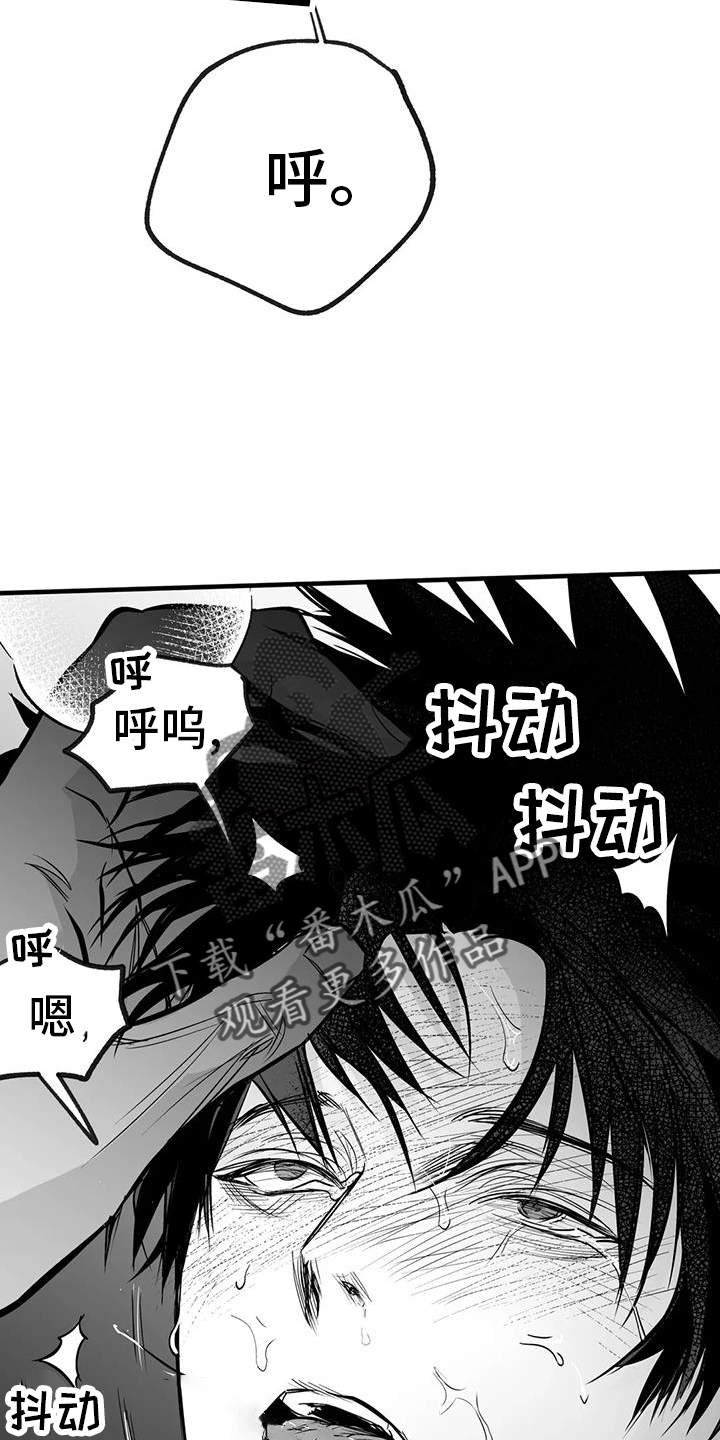 第237章：【第三季】闪耀7