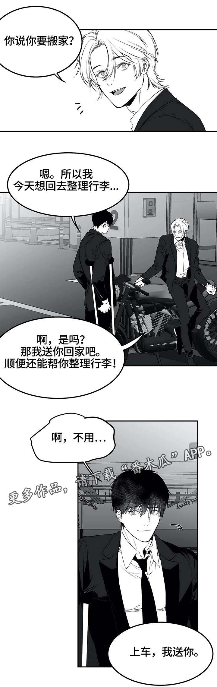 第19章：组织5