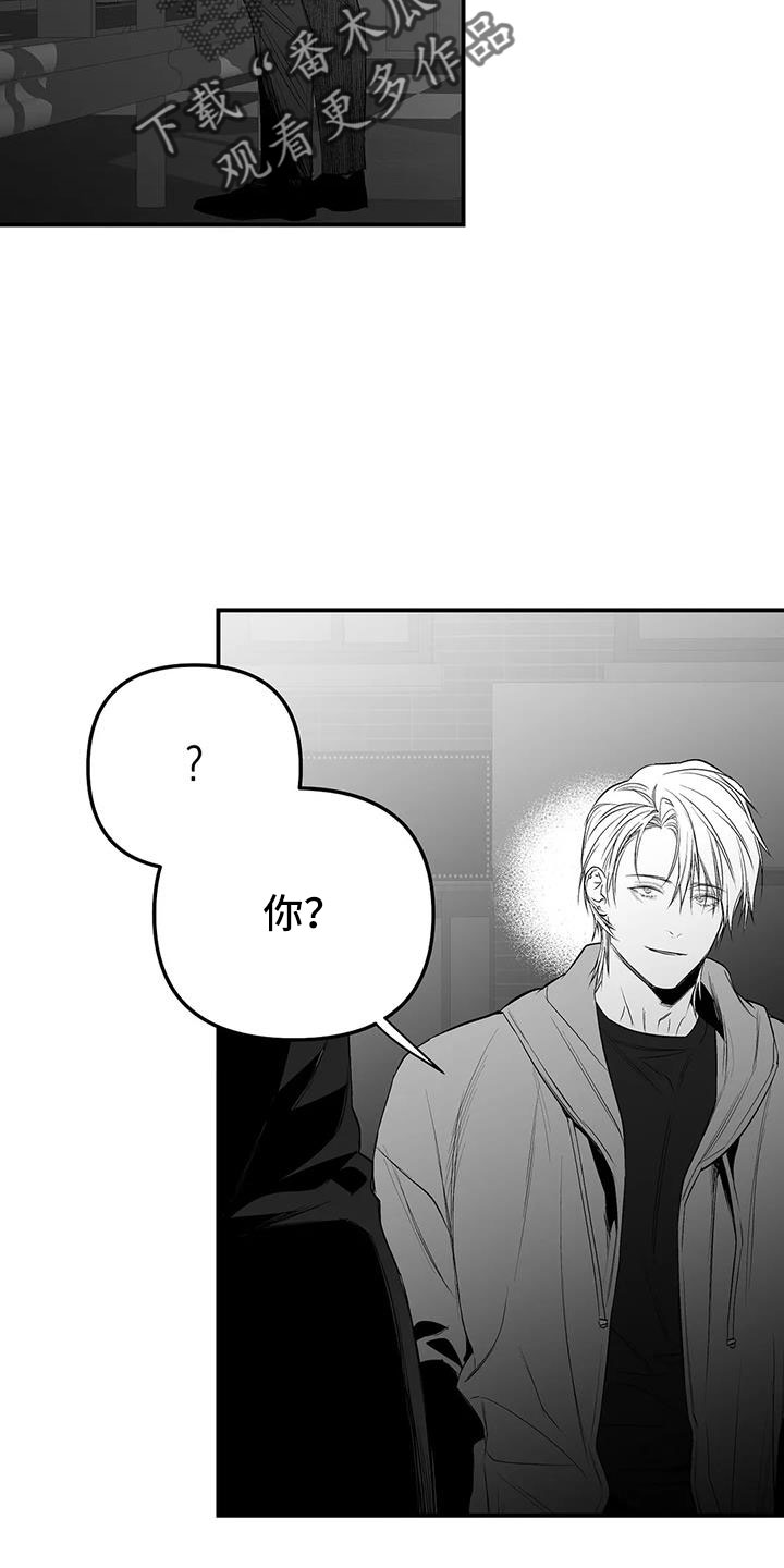 第212章：【第三季】条件是什么来着22