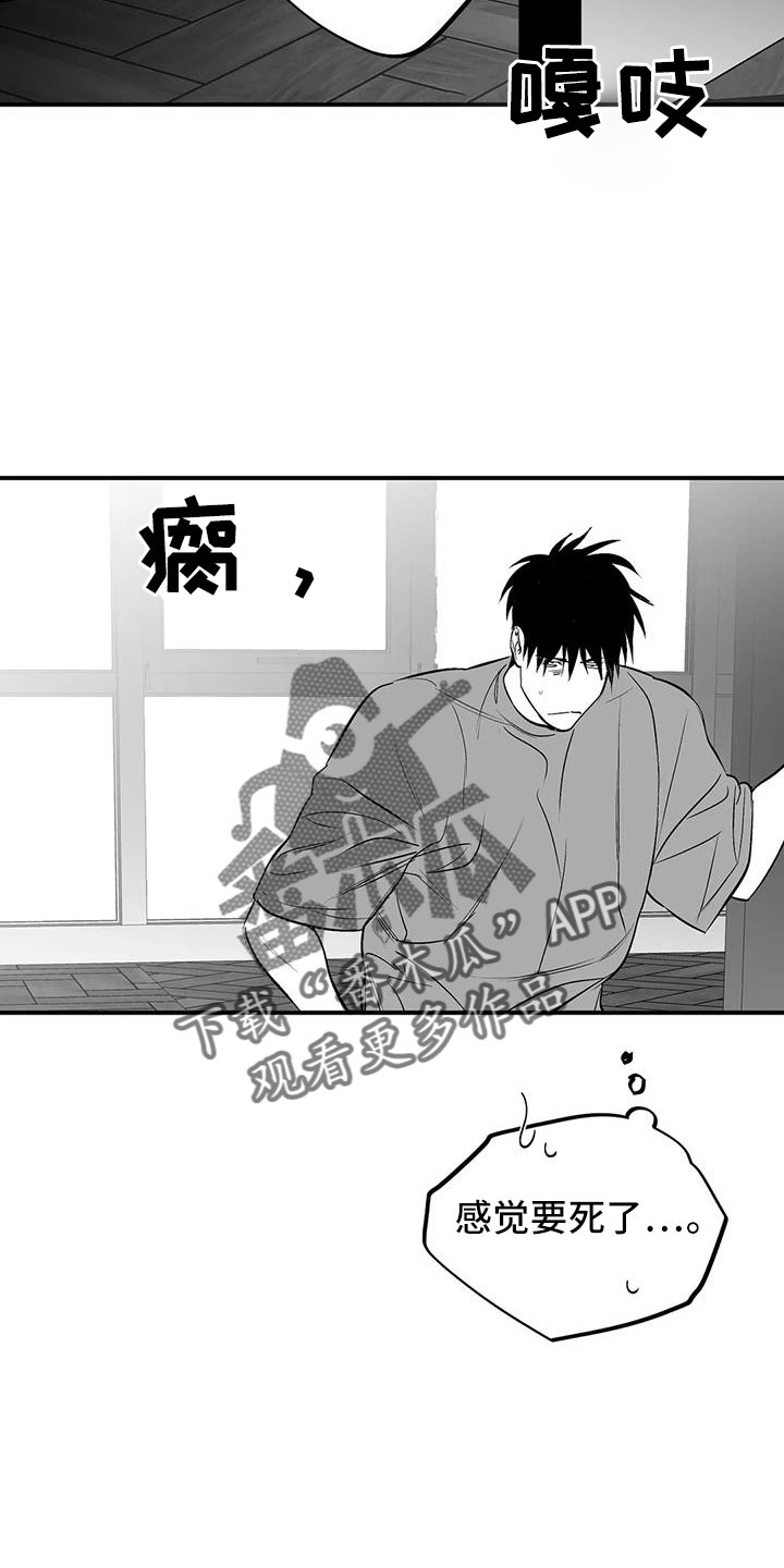 第209章：【第三季】要死了8