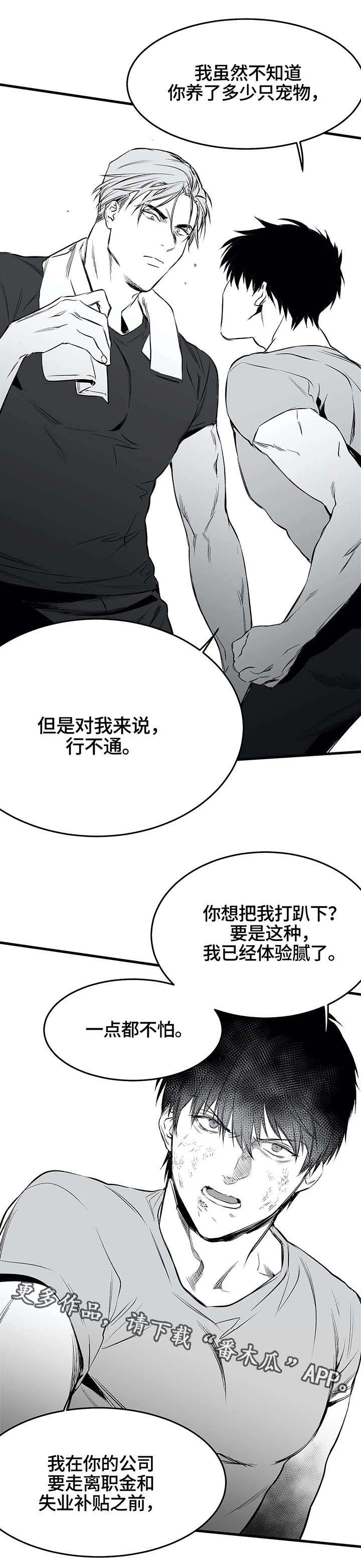 第16章：任务8