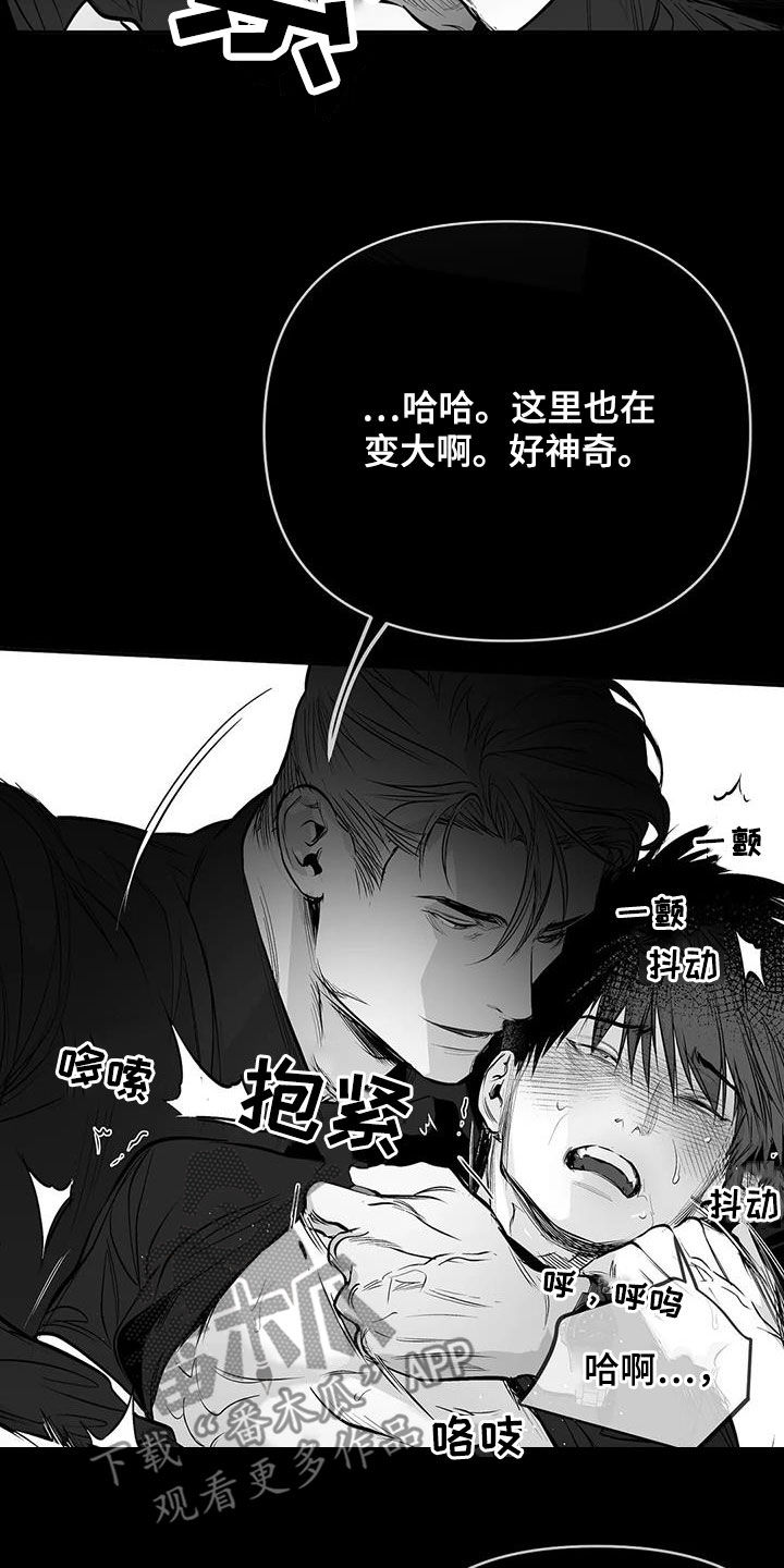 第171章：【第三季】期待16
