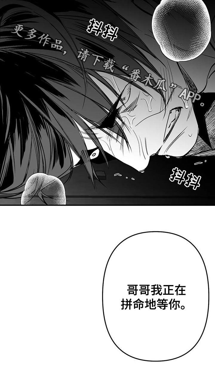 第192章：【第三季】作为朋友34