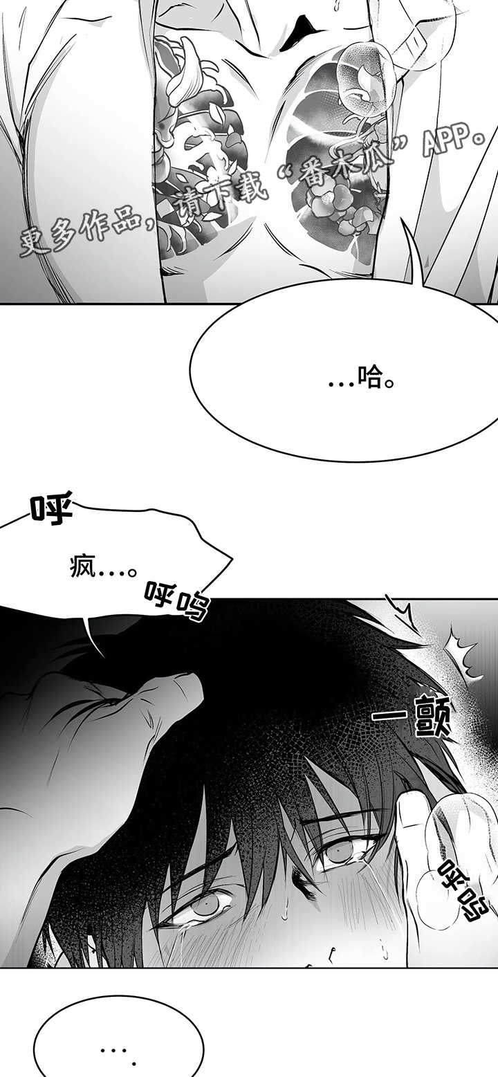 第38章：不一样9