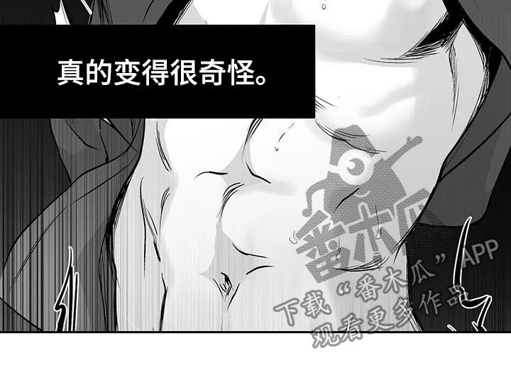 第81章：数到十5