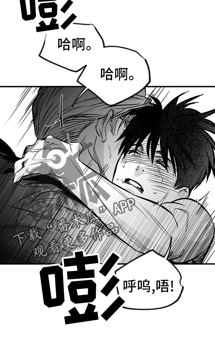 第237章：【第三季】闪耀15