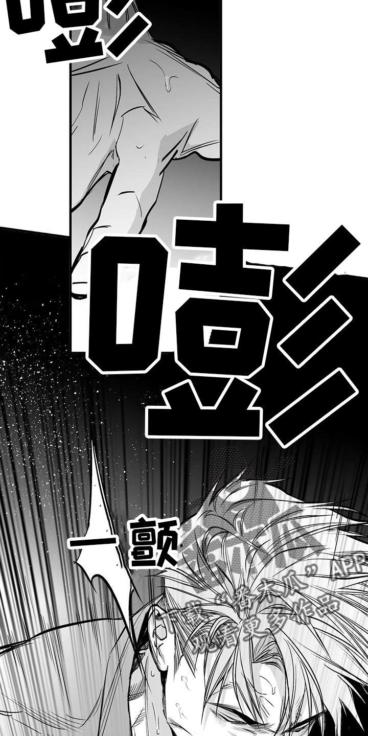 第237章：【第三季】闪耀17