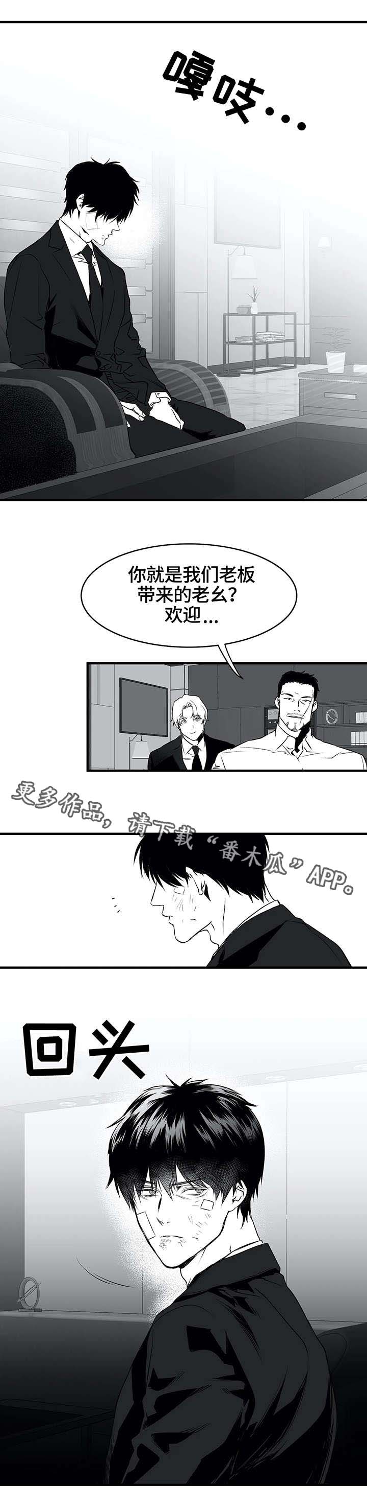 第10章：黑帮5