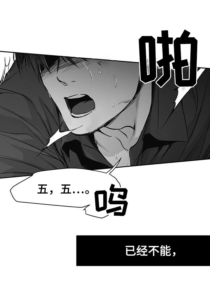 第81章：数到十11