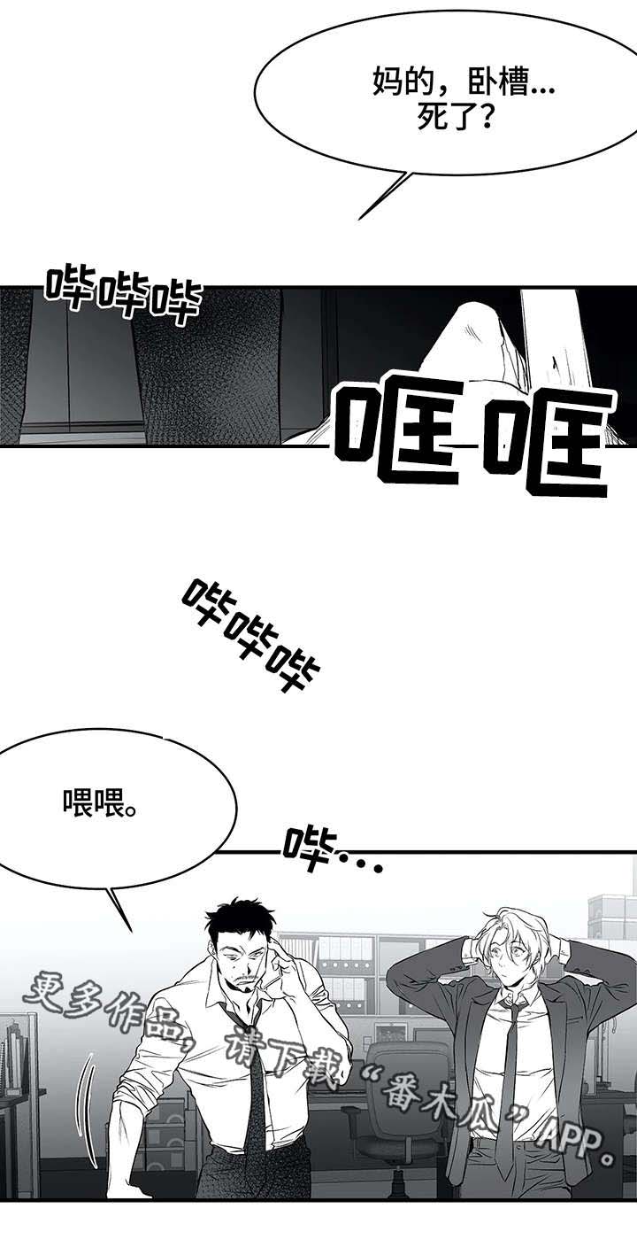 第9章：新人8