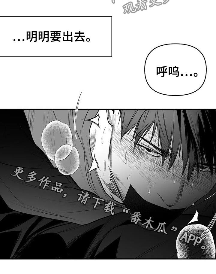 第184章：【第三季】上了贼船22