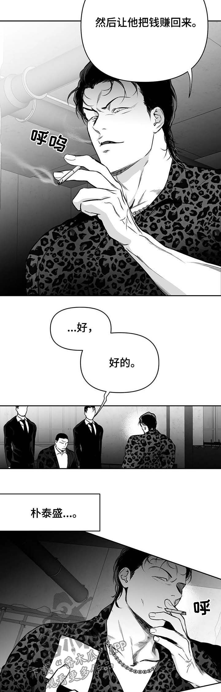 第75章：动向奇怪11