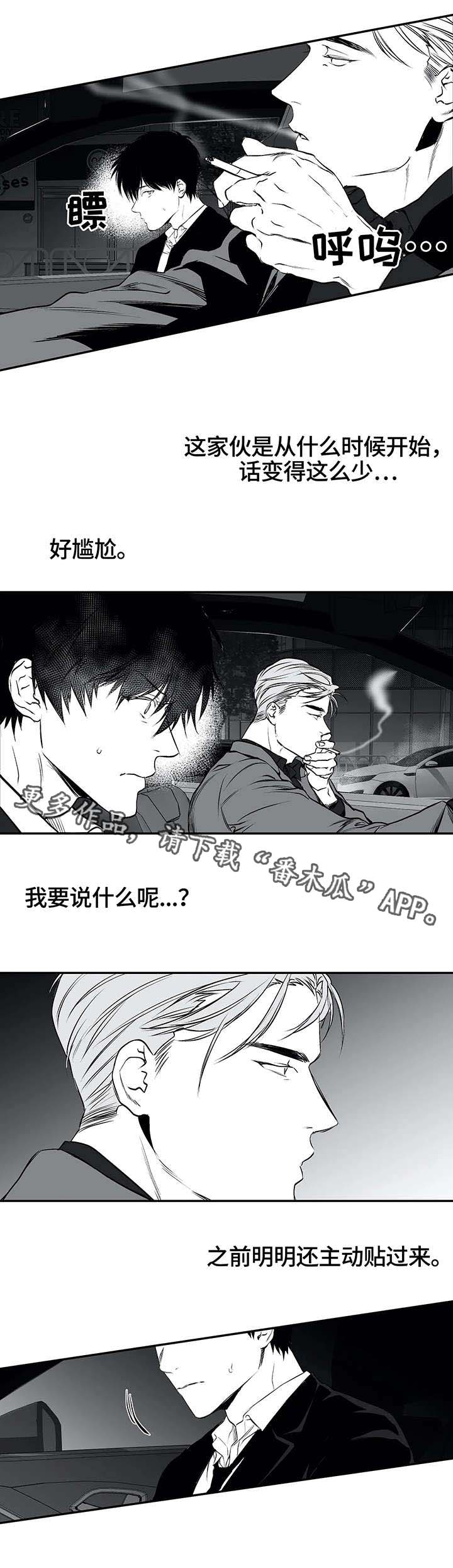 第19章：组织8