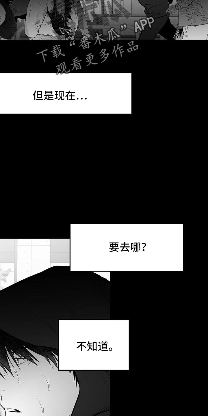 第201章：【第三季】去散步6