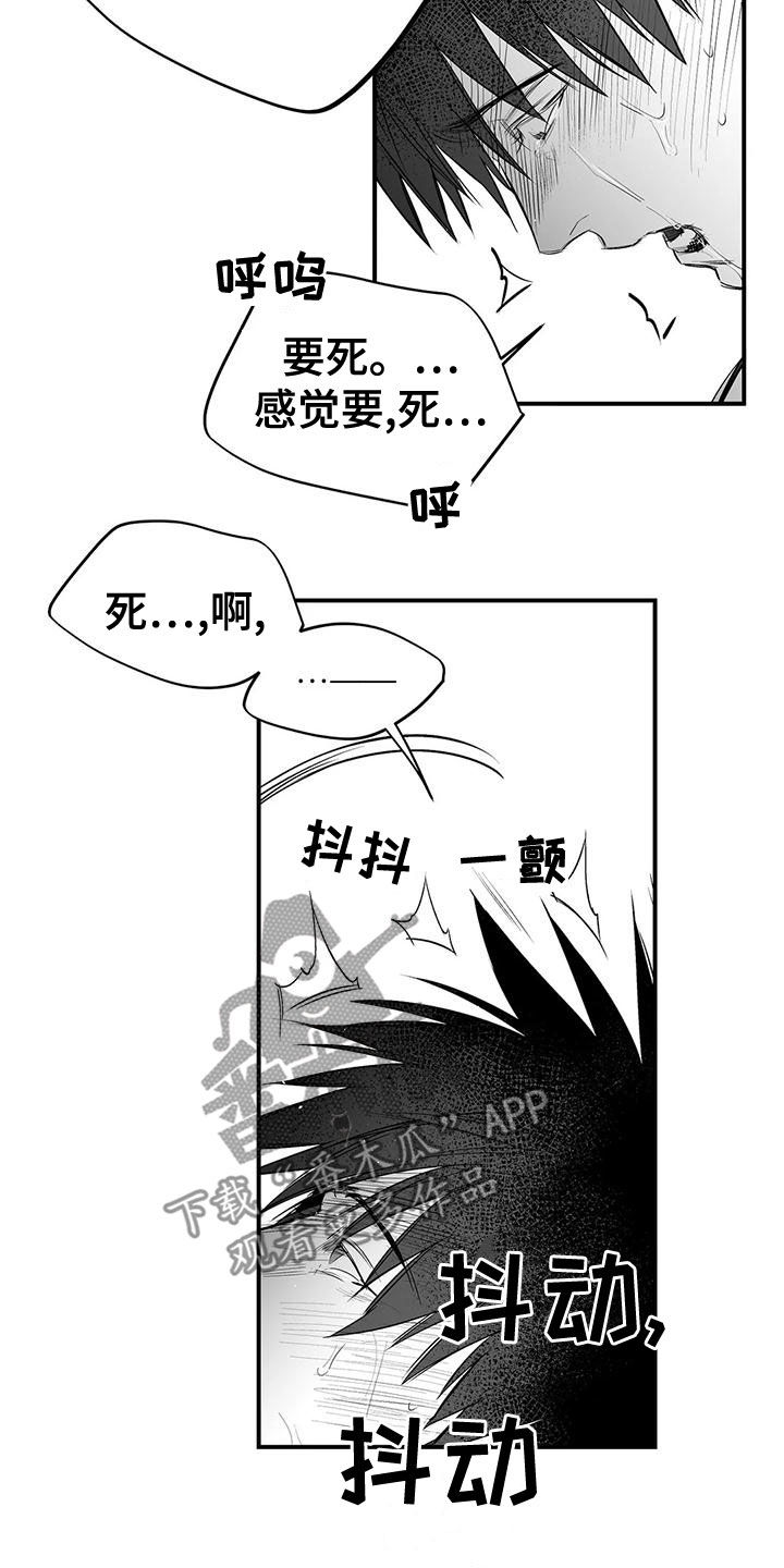 第190章：【第三季】开心5