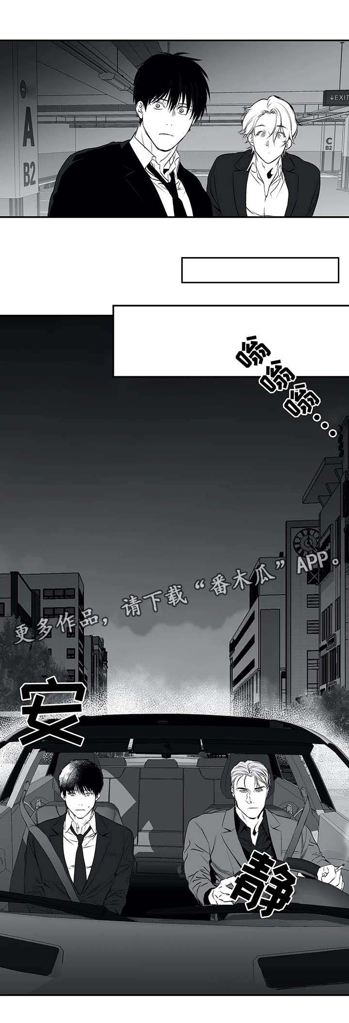 第19章：组织7