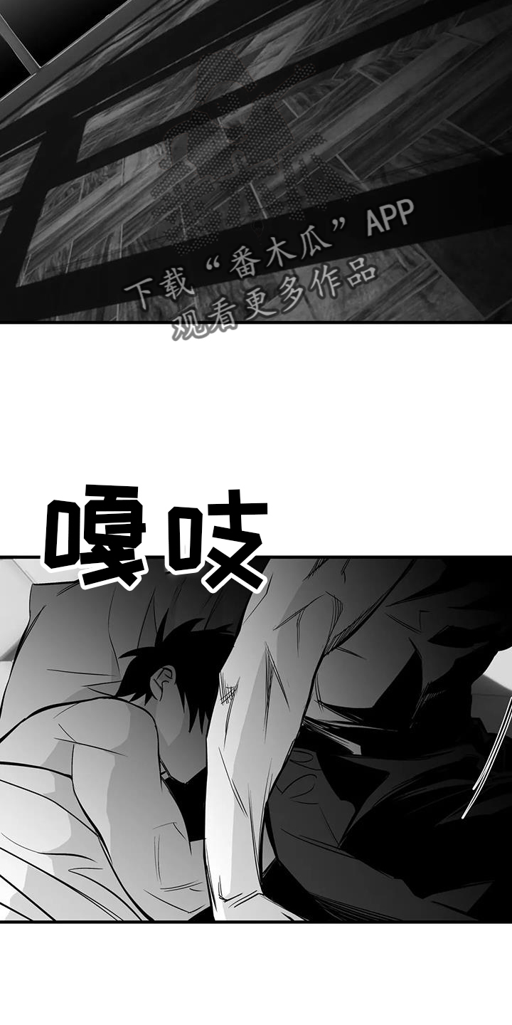 第237章：【第三季】闪耀29