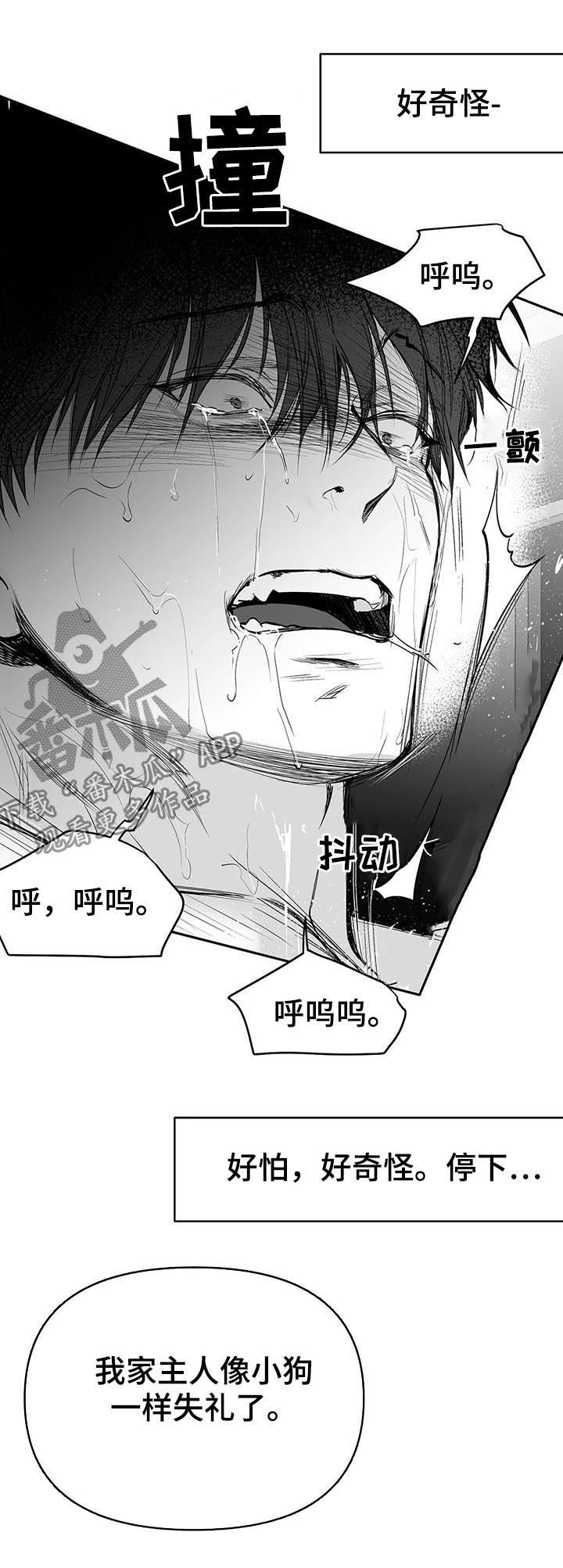 第112章：【第二季】很好奇1