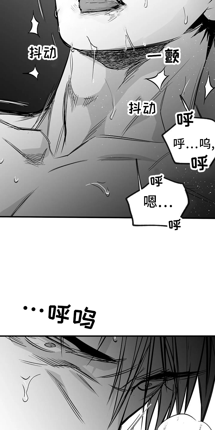 第237章：【第三季】闪耀8