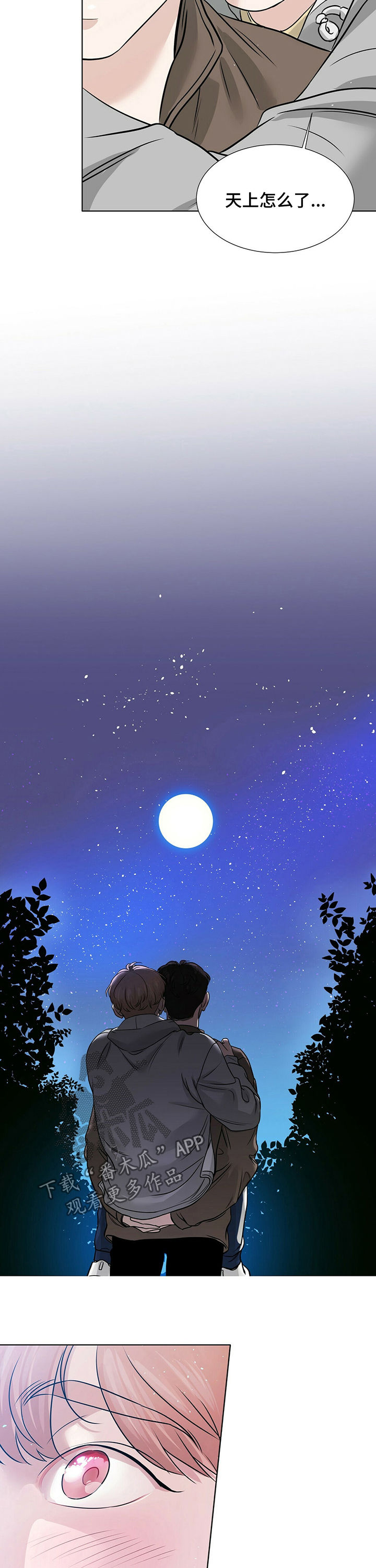第32章：都是因为我8