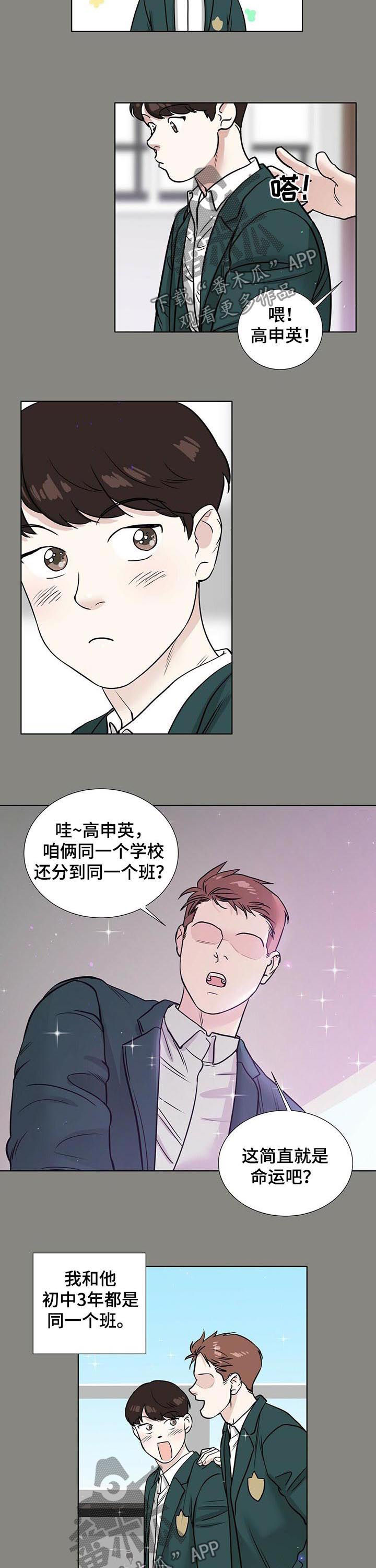 第48章：喜欢之情8