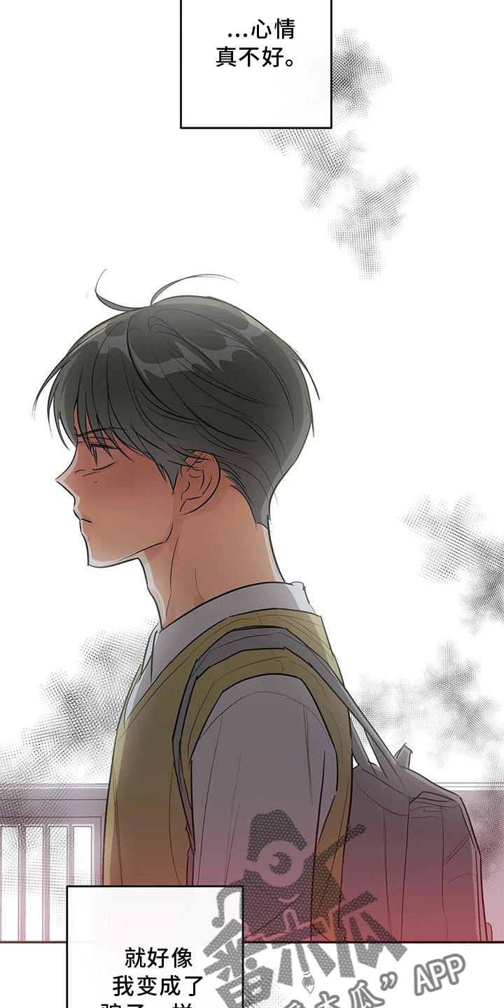 第53章：差异11