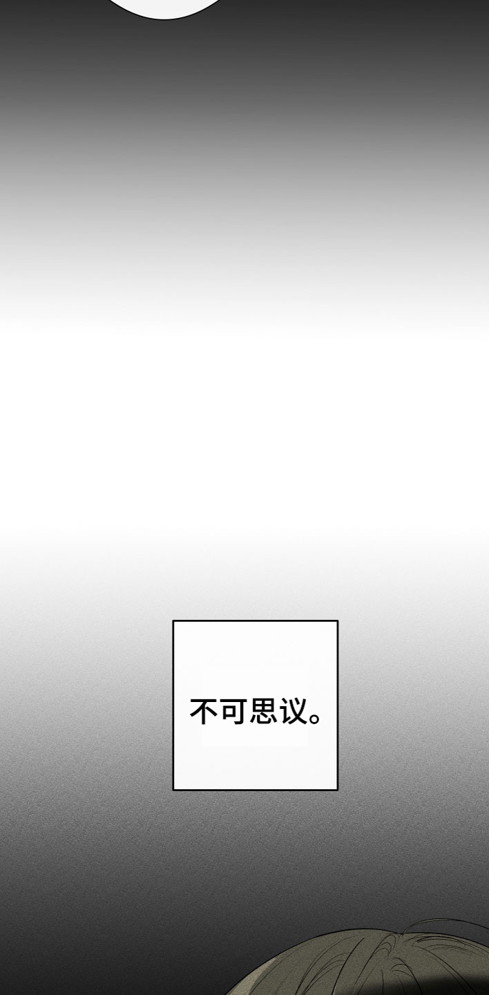 第19章：看见了14