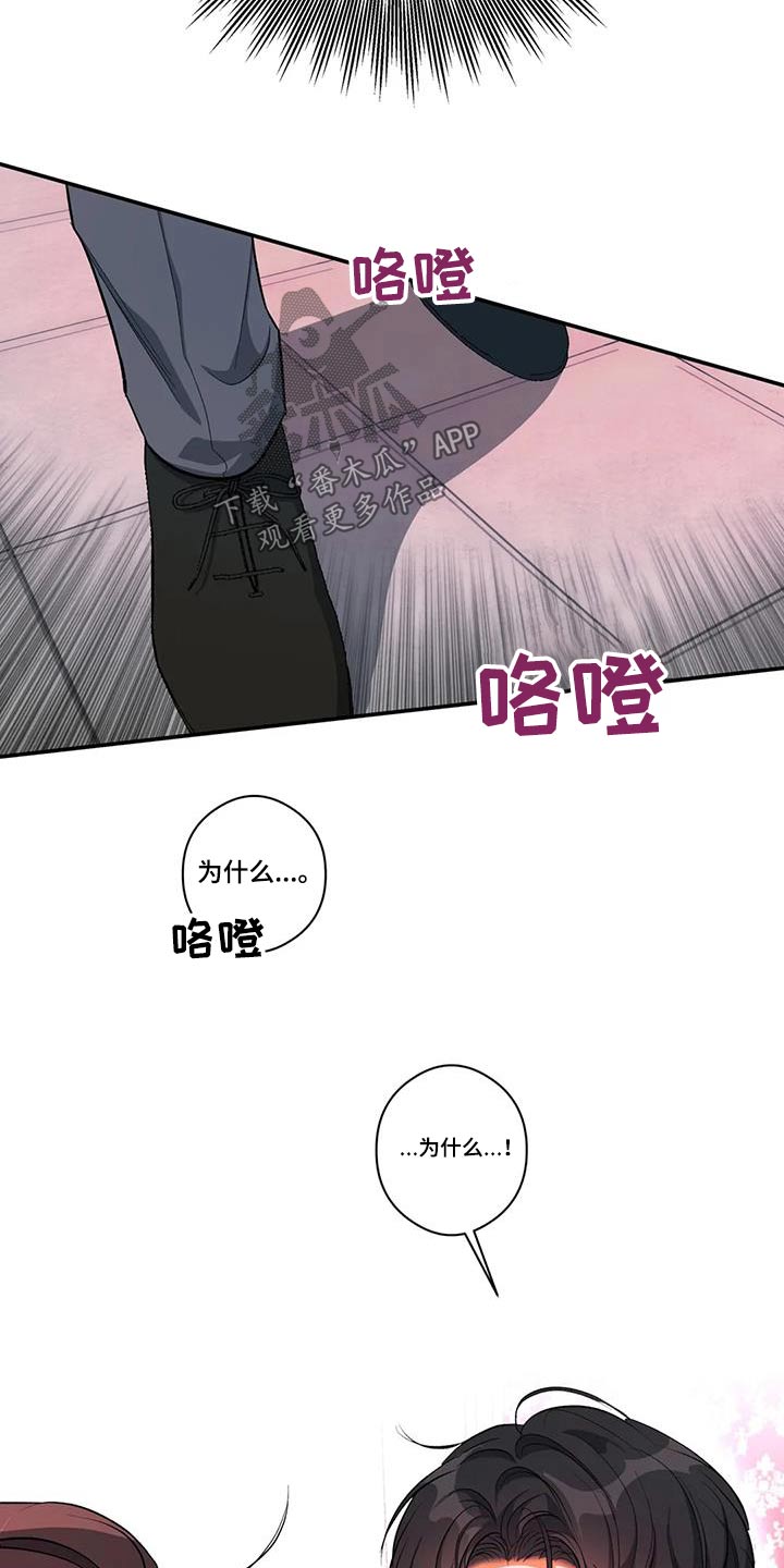 第61章：记忆中13