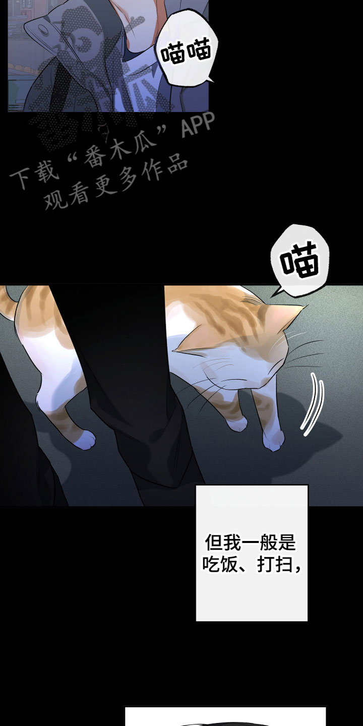 第11章：解开了6
