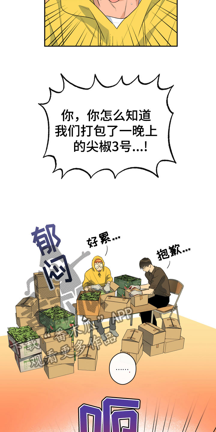 第7章：试探4